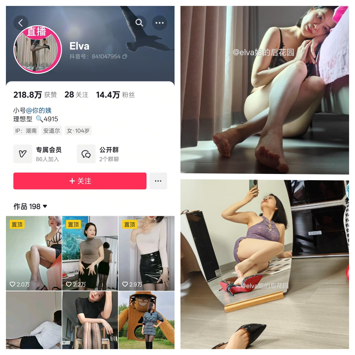 elva姐的后花园秘语空间/幻宇星球合集